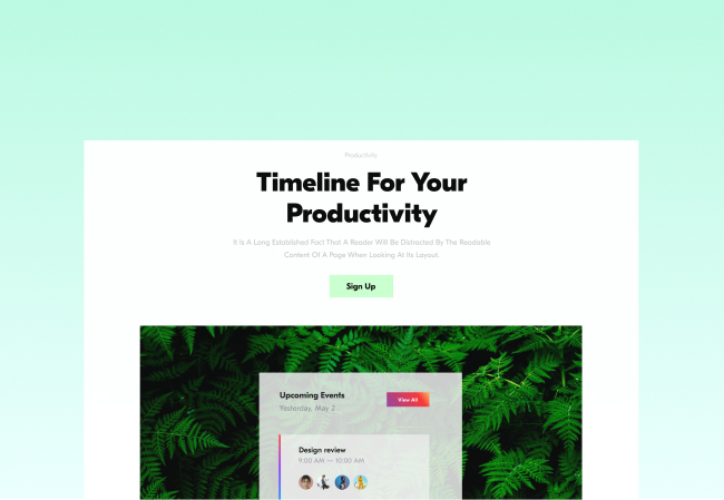 website development